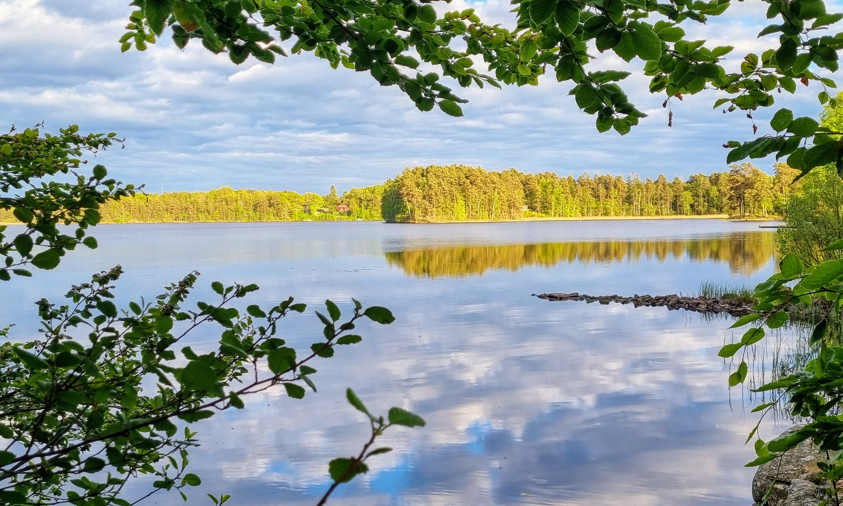 Sjö i kvällsljus med boklöv som inramar bilden